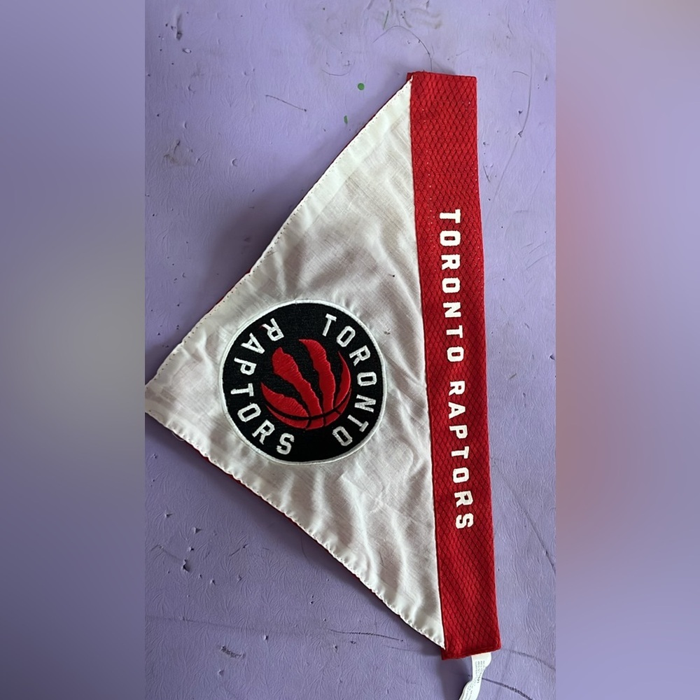Reversible raptor bandana cover